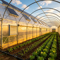 Serre agricole multi-chapelles à faible coût en film PE, structure en acier galvanisé, durée de vie de plus de 15 ans, système de ventilation
