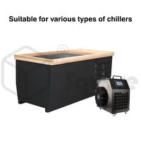Bain froid extérieur en bois personnalisable avec double douche portable, refroidisseur et filtre en option, design moderne en acier inoxydable