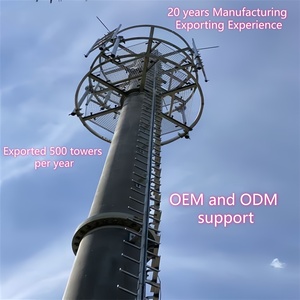 Torre Cónica Estética de Acero Galvanizado para Antena Monopolar 5G de 25m-60m, para Despliegue Urbano e Integración en la Silueta Urbana - Product Image 6
