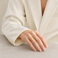 Bague ouverte réglable classique en acier inoxydable à double couche plaquée or 18 carats avec zircon clair incrusté