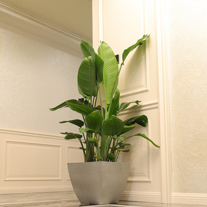 Pot de sol moderne et écologique en résine, expédié directement de l'usine, idéal pour les hôtels, pour Monstera, Money Tree et Plantes Aériennes - Product Image 4