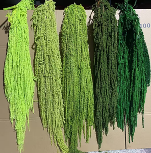 Vente <span class=keywords><strong>en</strong></span> gros d'Amaranthe préservé suspendu fleurs de mariage vert bordeaux blanc Amaranthe pour mariage noël décoration de la maison - Product Image 4