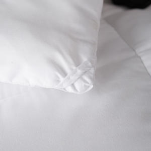 Hot Factory Sanding Winter Simple Eco-friendly Soft Modern Quilt <strong>Duvet</strong> 100% Cotton Polyester Filling Hotel Homestay - Product Image 4