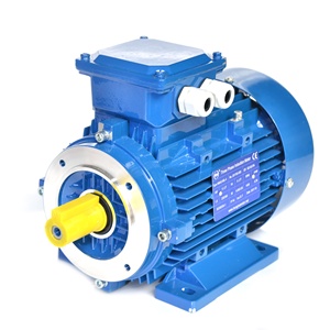 Motor de Inducción Trifásico Serie Ye3 de 0.75HP, 1HP, 2HP, 3HP, 4HP, 5HP, 7.5HP, 10HP, 15HP, 20HP, 75HP - Product Image 2