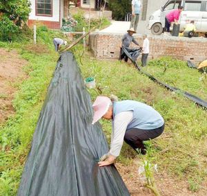 Feuille de paillage anti-mauvaises herbes en polypropylène tissé écologique à prix d'usine - Product Image 3