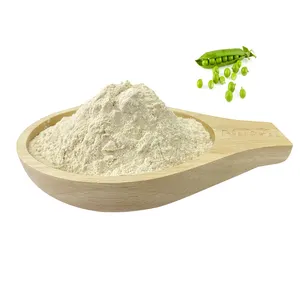 High Quality Organic Isolate Pea Protein Powder With Best Price