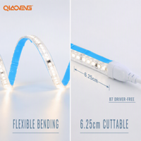 Bande LED sans transformateur 220V IP65 en PVC 2835 192 LED/m 6500K Blanc Froid pour Éclairage Extérieur