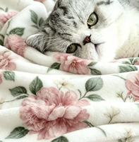 Selimut Lembut Motif Bunga dari Kain Flanel Fleece, Selimut Bunga Pink yang Nyaman untuk Sofa, Tempat Tidur, Penggunaan Sepanjang Musim