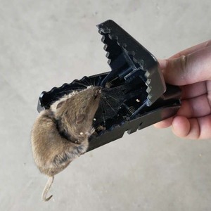 K229 Pièges à <span class=keywords><strong>souris</strong></span> intérieurs sanitaires rapides et efficaces pour <span class=keywords><strong>la</strong></span> <span class=keywords><strong>maison</strong></span> Petit piège à <span class=keywords><strong>souris</strong></span> pour <span class=keywords><strong>la</strong></span> <span class=keywords><strong>famille</strong></span> et les animaux <span class=keywords><strong>de</strong></span> compagnie Pièges à <span class=keywords><strong>souris</strong></span> - Product Image 3