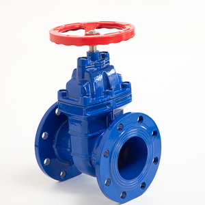 Bán buôn Chất lượng cao nước đúc sắt không tăng thân cứng con dấu Van cổng với giá - Product Image 1