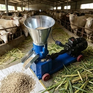 Peletizadora <span class=keywords><strong>de</strong></span> Alfalfa <span class=keywords><strong>de</strong></span> Matriz Plana <span class=keywords><strong>de</strong></span> Alta Eficiencia 60kg-5t/h para Pellets, Alimento para Ganado y Caballos - Product Image 1