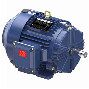 มอเตอร์ซิงโครนัสสามเฟส Leeson รุ่น 184TTFCD6026CB สำหรับอุปกรณ์เครื่องจักรกล ประเทศสหรัฐอเมริกา - Product Image 3