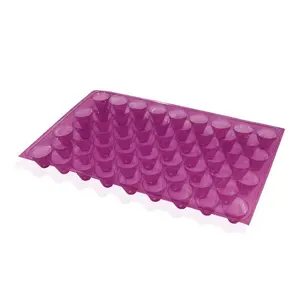 434 Holes Clear PVC Material Plastic Paddy Seed Tray High Quality Nursery Growing Tray Rice