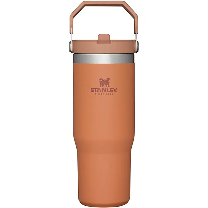 Stanley IceFlow Stainless Steel Tumbler with Straw Vacuum Insulated Water Bottle for Home Office or Car Reusable Cup