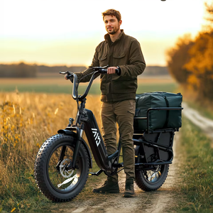Vélo électrique familial 750W avec batterie 15Ah, cadre en acier carbone, vélo <span class=keywords><strong>de</strong></span> <span class=keywords><strong>ville</strong></span> électrique, vélo cargo électrique hybride - Product Image 6