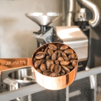 Arábica tostado Catimor Completamente lavado Precio razonable Vietnam Granos de café verde crudo Granos de café Embalaje Logotipo personalizado