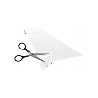 Pantalla LED de Película de Cristal P6, Pantalla Transparente Flexible HD, Pantalla de Película de Cristal para Publicidad en Centros Comerciales