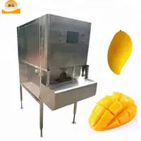 Otomatik hindistan cevizi ananas peeling coring makinesi mango soyma makinesi