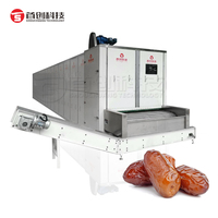 Automatische Fruit Gaas Banddroger Machine Gedroogde Vijgen Abrikoos Palm Dadel Fruit Droogmachine