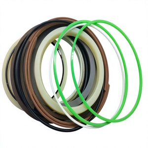 Kit de joints toriques pour vérin hydraulique d'excavatrice en promotion - Kit de joints de vérin de bras CASE 9030B 160579A1 - Product Image 1