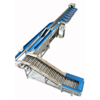 Machine automatique de tri et de calibrage des fruits et légumes pour pommes de terre, oignons, avocats 220V/380V Haute efficacité