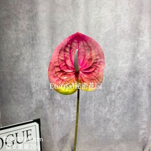Fleur d'Anthurium Artificielle Secret Garden Rouge Vif en Caoutchouc Souple pour Décoration de Mariage, Accessoire Photo Extérieur, Faite à la Main, Imprimée en 3D - Product Image 3