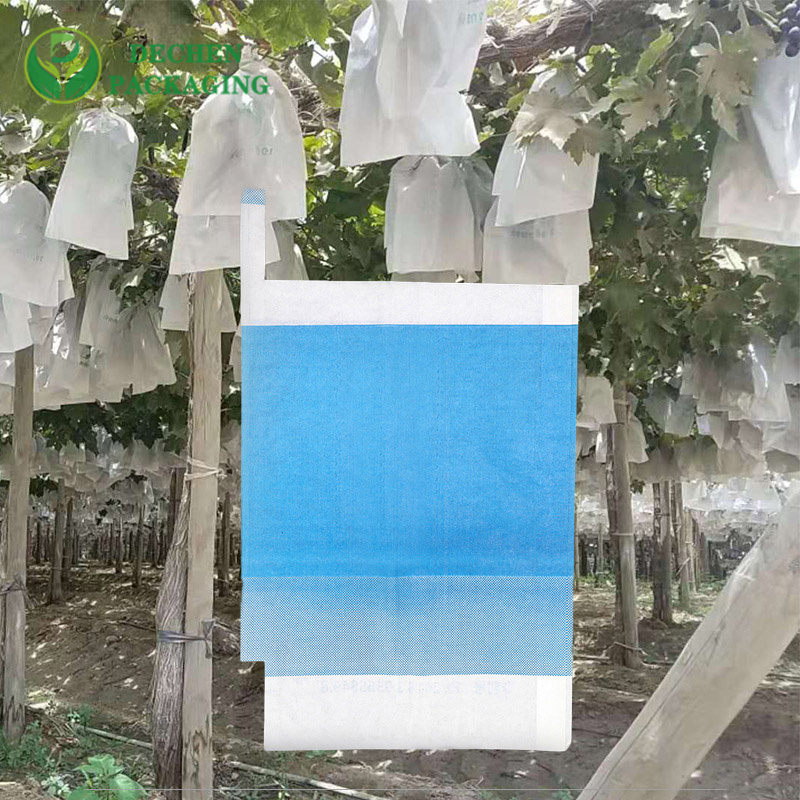 Mango Fruit Protection Bags Exporters for Mango Fruit Protection Bags Wholesale - Global & Bulk