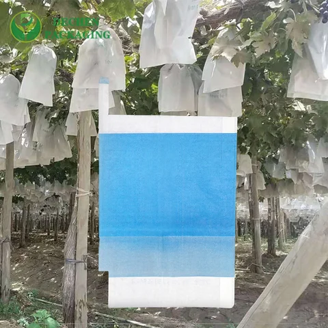 Fruit Pest Bags Growing Paper Grape Protection Bag Green