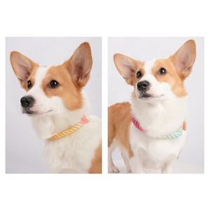 하이 퀄리티 중국 공급 업체 사치와 패션 맞춤형 디자이너 가죽 면 견인 면 애완 동물 개 목걸이 - Product Image 4