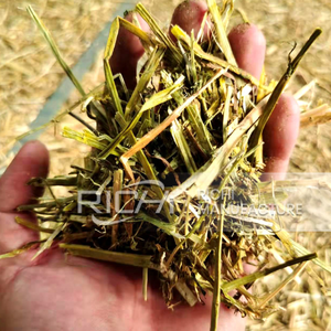 Richi động vật Thức ăn viên dòng Miễn phí cài đặt 8-10t/h gia súc bò động vật Thức ăn viên Máy làm nhà máy nhà máy - Product Image 2