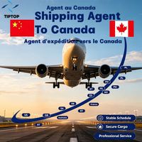 Agent d'expédition aérienne Canada Ottawa Montréal-Aéroport international Trudeau Expédition porte à porte Livraison express