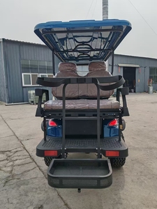 300cc xăng xe Golf Golf <span class=keywords><strong>Buggy</strong></span> 4 6 chỗ ngồi cao cấp xuyên quốc gia tùy chỉnh off-road săn bắn xe scooter - Product Image 5