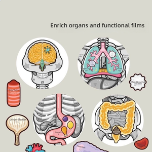 Modelo de anatomía de órganos internos del esqueleto <span class=keywords><strong>humano</strong></span>, estructura corporal para niños, juguete de aprendizaje cognitivo para educación temprana, biología y ciencia - Product Image 2