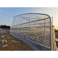 Projets clés en main culture hydroponique de tomates invernadero serre verte à vendre