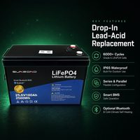 Baterai Lithium LFP 25.6V 100Ah 24V Siklus Dalam untuk Penyimpanan Energi, Sistem Surya RV, Distributor Daya Traksi Kelautan