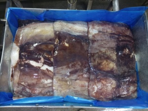 <span class=keywords><strong>ปีก</strong></span><span class=keywords><strong>ปลาหมึก</strong></span><span class=keywords><strong>ยักษ์</strong></span>แช่แข็งคุณภาพสูง <span class=keywords><strong>ปีก</strong></span><span class=keywords><strong>ปลาหมึก</strong></span>อินเดีย ราคาดี - Product Image 3