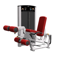 Machine 2-en-1 de curl et extension des jambes assis, 3+3 positions, pile de poids de 80,25 kg, pour salle de sport commerciale