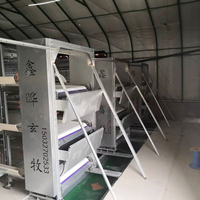 Équipement d'élevage avicole, cage à poulets automatique de type H, cages à poulets de chair, cages à poules pondeuses avec système de collecte des œufs et d'évacuation du fumier