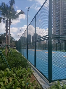 Clôture de jardin en treillis métallique galvanisé, maille diamantée protectrice, pour parc, aire de jeux, terrain de football, terrain de baseball, terrain de tennis extérieur - Product Image 4