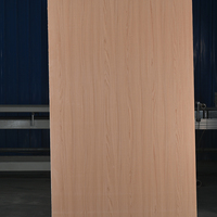 Lembaran HPL Tahan Air Tahan Api, Laminasi Tekanan Tinggi 0.1-1mm, Papan Dekorasi untuk Dinding Kabinet Dapur, Dekorasi Interior