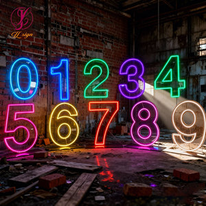 Lettres et chiffres géants en métal RGB néon de 3 à 4 pieds pour la décoration de mariage, les célébrations de remise des diplômes, les locations pour fêtes - Product Image 6