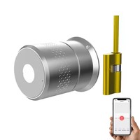 Pas cher Ttlock Tuya Wifi BLE Télécommande Remplaçable Auto Smart Cylindre Maison Empreinte Digitale Smart Digital Porte Cylindre Serrure