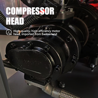 Compresseur d'air haute pression 185 CFM 50 litres PCP 80 gallons 4500 PSI pour fusil à air comprimé 500 litres