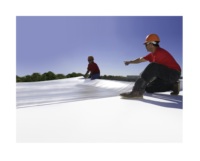 Membrane de toiture pour bâtiments en TPO PVC EPDM auto-adhésive de conception moderne pour l'étanchéité