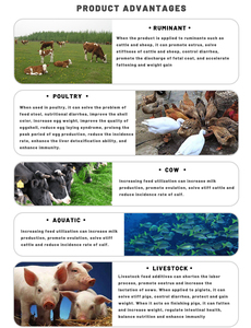 Goose Alpha Galactosidase Túi Hình Ngôi Sao Chim Cút Chim Bồ Câu Gia Cầm Vịt Mã <span class=keywords><strong>Hs</strong></span>, Phụ Gia Thức Ăn Gia Súc Chất Lượng Hàng Đầu Cho Một - Product Image 6