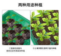 Kit de germination de plantes 3-en-1 avec plateau de semis 12 cellules, dôme de ventilation réglable et boîte de propagation à humidité et chaleur contrôlées