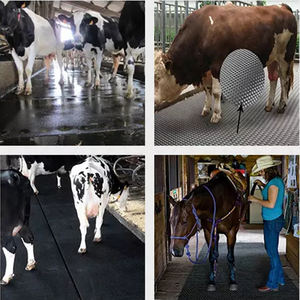 الصينية صديقة للبيئة الأسود تدليك درب الحصان الأرضيات البقر دواسة مطاطية - Product Image 6