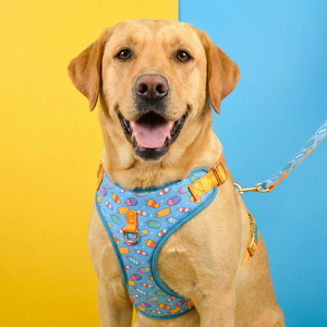 Harnais tactique respirant de luxe pour chien MIDEPET, pour petits animaux, taille <span class=keywords><strong>XL</strong></span>, cadeau pour la Saint-Valentin, Nouvel An, OEM&ODM, étiquette d'identification gratuite - Product Image 1