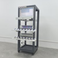 Probador de Baterías, Cargador de Baterías de Litio 18650, Máquina de Carga y Descarga de Baterías, Probador de Capacidad de Baterías de Litio Marca SPTX