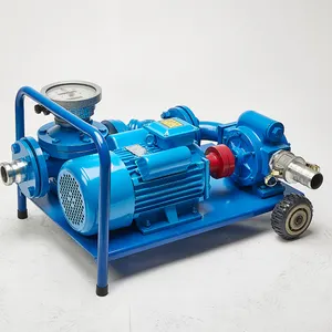 12v 2 inch explosion-proof mechanical fuel pump set oil transfer pump with digital meter